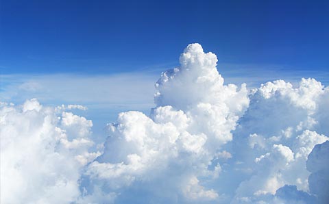 マイルを暮らしに役立てよう