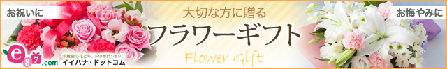 e87.com(千趣会イイハナ)