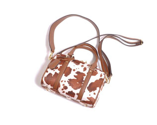 カシュカシュ(CasheCashe)