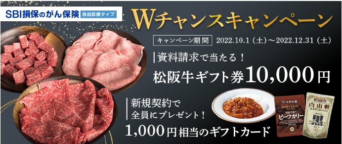 SBI損保Wチャンスキャンペーン