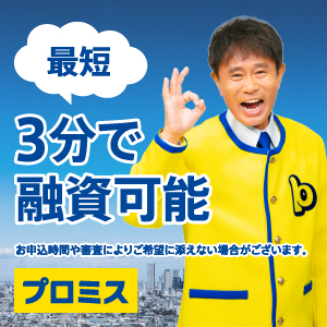 プロミス・画像