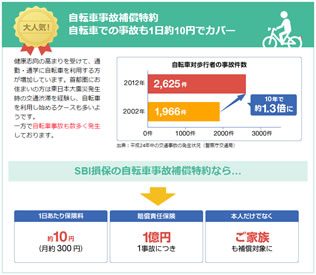 SBI損保 自動車保険 画像