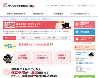 オリックス生命 終身保険RISE 画像