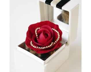 メリアジュエルボックス・画像