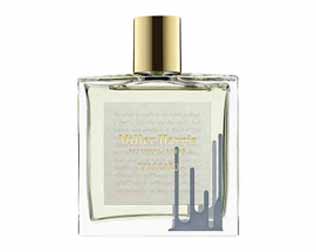 スタッカート・画像