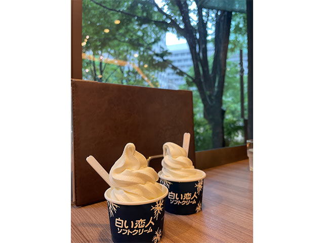 snapseedで加工する前の画像