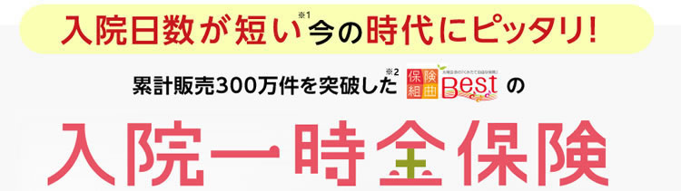 太陽生命のスマ保険