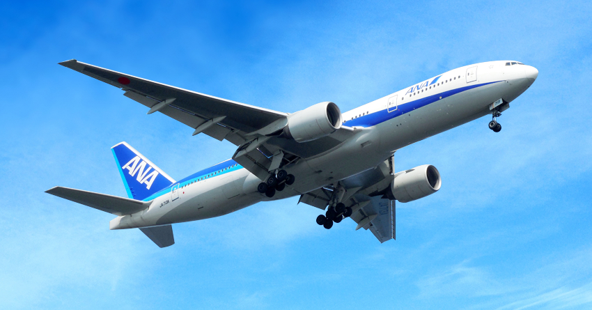 航空会社（国内線）ランキング